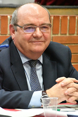 José Manuel Pingarrón