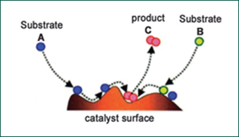 Figura 1. Ilustration of catalytic process
